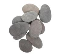 Angoily 10 Pezzi Pietre Piatt e Lisce per Dipingere Ciottoli Naturali Levigati per Adulti Pietre da Fiume Colorate per attività Creative Decorazioni per Piante da e Acquari