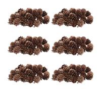 Angoily 100 Pezzi Coni di Natale Naturali Color caffè, Artigianali e Versatili, per Decorazioni Rustiche in Ambienti Dining e Thanksgiving