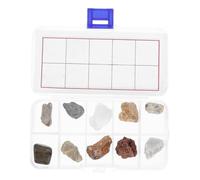 Angoily Kit Per Raccolta Di Rocce e Minerali Di Geologia Con Fossili e Include Scatola Espositiva e Guida Didattica Per Apprendimento Casa Classe
