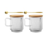 Angoily Set 2 Bicchieri in Vetro da 340ml con Manico Sospeso, Coperchio e Cucchiaio, Tazze Trasparenti per Uso Quotidiano a Casa e Picnic