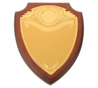 Angoily Targa Legno Metallo per Incisione, Premio Commemorativo