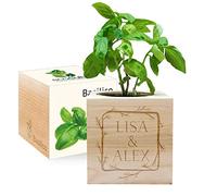 Angolo del Regalo - EcoCube personalizzabile con incisione Cornice fiorita (Basilico), Kit per Far Crescere la Propria pianta, Idea Regalo (100% Ecologica)