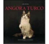 Angora turco