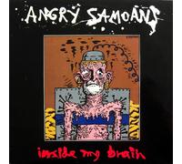 Angry Samoans Inside My Brain (Vinyl LP) 12" Album