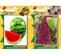 Anguria, Seme Amaranthus Seeds ONLY