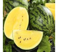 anguria semi biologici espaldera perenni resistenti letto elevato di giardino di melone semi di melone 300pcs