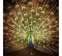 Ani DiFranco ¿Which Side Are You On? (CD) Album