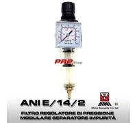 Ani E/14/2 Filtro Regolatore Di Pressione Modulare Separatore Impurità Condensa