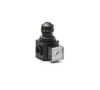 ANI E/25 MEDIUM REGOLATORE DI PRESSIONE MODULARE ARIA COMPRESSA