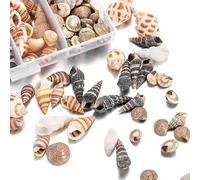 Anicy 100 conchiglie decorative - conchiglie decorative e stelle marine, conchiglie per il fai da te per vasi, riempitivi in spiaggia, per feste, matrimoni, artigianato, carro armato di pesce