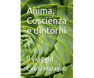 Anima, Coscienza e dintorni: il viaggio