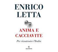 Anima e cacciavite. Per ricostruire l'Italia
