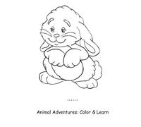 Animal Adventures: Color & Learn | (6x9) inches | Animal Designs for Toddlers, Kids, and Adults - 15 Fun Coloring Pages: Learn and Color - Perfect for ... Animals | Cute Creatures to Color & Learn