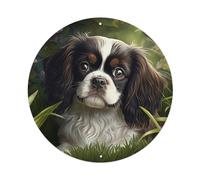 Animal Artwork American Cocker Spaniel in the Grass Metal Tin Sign