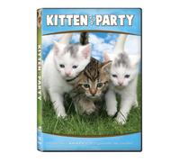 Animal Atlas: Kitten Party