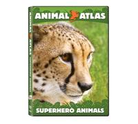 Animal Atlas - Superhero Animals