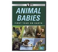 Animal Babies: First Year On Earth