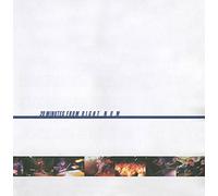 Animal Chin - 20 Minutes From Right Now