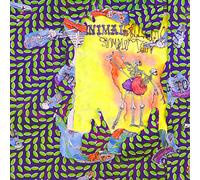 Animal Collective Ballet Slippers (Vinyl LP) 12" Album Box Set