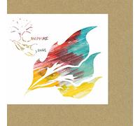 Animal Collective - Campfire Songs