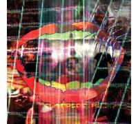 Animal Collective - Centipede Hz