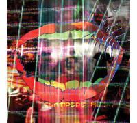 Animal Collective Centipede Hz (CD)