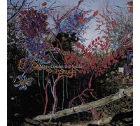 Animal Collective - Here Comes The Indian