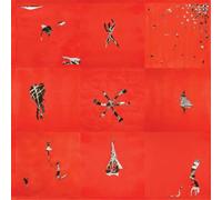 Animal Collective - Hollinndagain