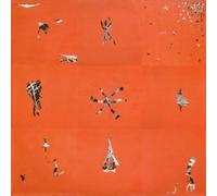 Animal Collective - Hollinndagain