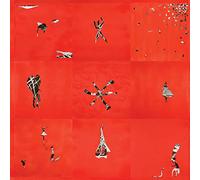 Animal Collective - Hollinndagain