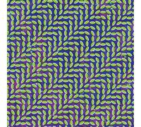 Animal Collective - Merriweather Post Pavilion