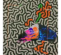 Animal Collective Tangerine Reef (Vinyl LP) 12" Album
