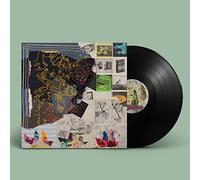 Animal Collective - Time Skiffs