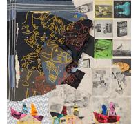 Animal Collective - Time Skiffs