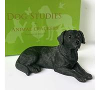 Animal Crackers Statuetta di cane labrador nero della collezione Dog Studies, 16,5 cm, in confezione regalo