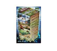 Animal Evolution Through Geologic Time Poster - Large Illustrated Science Timeline, Aesthetic Wall Decor for Bedroom, Study Room(Unframed,16x24inch(40x60cm))