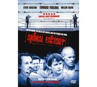 Animal Factory (2000) Steve Buscemi, Willem Dafoe DVD [DVD] Willem Dafoe; Edw [Importato da Regno Unito]