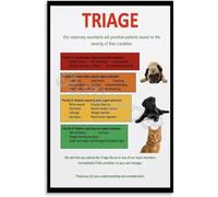Animal First Aid Knowledge Poster Pet Care Emergency Guide for Home Classroom Veterinary Office Decor Educational Wall Chart(Framed,08x12inch(20x30cm))