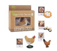 Animal Flash Cards, Educational Kids Toys, Matching Animal Cards, Animal Life Cycle Toys, Learning Flash Cards, Preschool Educational Toys, Kindergarten Learning Tools, Cute Learning Toys,