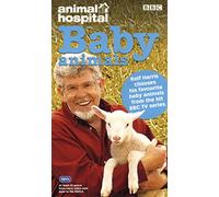 Animal Hospital