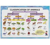 Animal Kingdom Chart Vertebrate and Invertebrate Classification Biology Canvas Wall Art for Home Office Library(Framed,16x24inch(40x60cm))