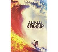 Animal Kingdom: The Complete Fourth Season (DVD) Ben Robson Ellen Barkin