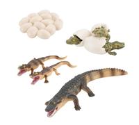 Animal Life Cycle Toys | Crocodile Growth Cycle Figure Set | Educational Animal Development Model Toy | Preschool Learning Science Kit | Classroom Teaching Aid for Kids Kindergarten School Home Study