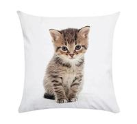 Animal Mignon - Cuscino decorativo a forma di gatto, in tessuto super morbido, stampa con federa per cuscino, accessori decorati a casa