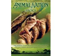 Animal Nation - Frogs [Edizione: Regno Unito]
