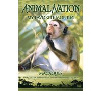 Animal Nation - My Favorite Monkey [Edizione: Regno Unito]