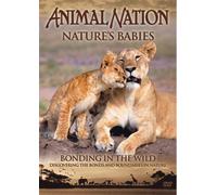 Animal Nation - Nature's Babies: Bonding in the Wild [Edizione: Regno Unito]