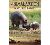 Animal Nation - Nature's Babies: Born in the Wild [Edizione: Regno Unito]