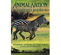 Animal Nation - Natures Babies: Rearing [Edizione: Regno Unito] [Edizione: Regno Unito]