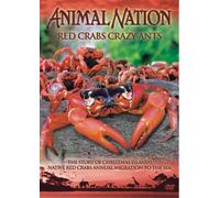 Animal Nation - Red Crabs Crazy Ants [Edizione: Regno Unito]